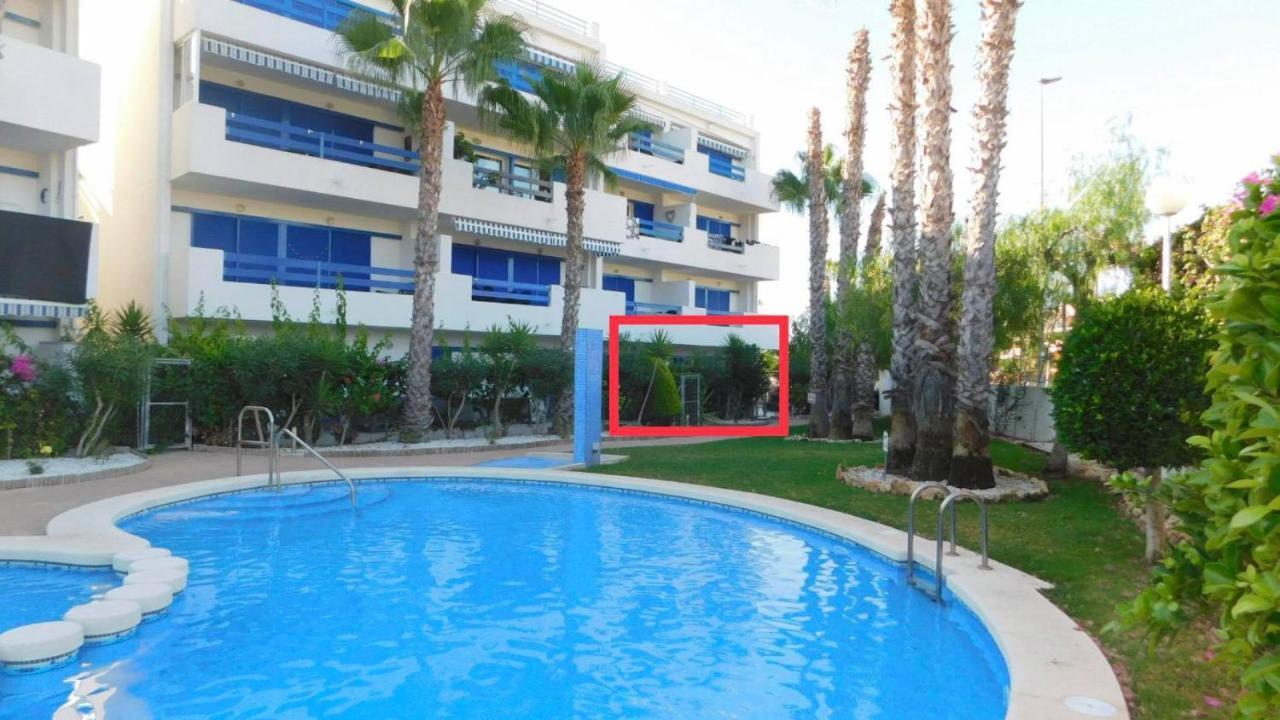 Coral House - La Calma - Playa Flamenca - Big Terrace & 4 Swimming Pools. Daire Dış mekan fotoğraf