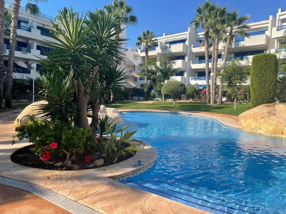 Coral House - La Calma - Playa Flamenca - Big Terrace & 4 Swimming Pools. Daire Dış mekan fotoğraf