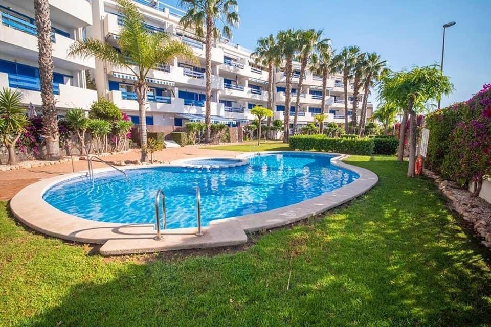 Coral House - La Calma - Playa Flamenca - Big Terrace & 4 Swimming Pools. Daire Dış mekan fotoğraf